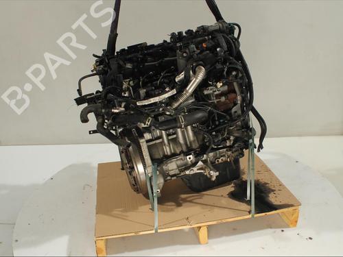 Engine PEUGEOT 308 II (LB_, LP_, LW_, LH_, L3_) 1.6 HDi / BlueHDi 115 | BP27815440M1