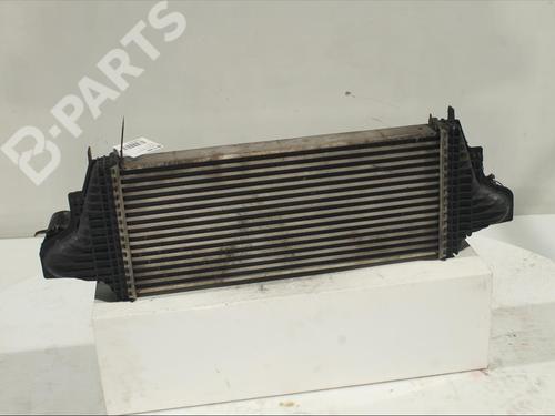 Intercooler MERCEDES-BENZ M-CLASS (W164) ML 300 CDI 4-matic (164.120) | BP11985436M30 
