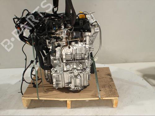 Used Engine DACIA SANDERO III 1.0 TCe 100 ECO-G (101 hp) 29469871