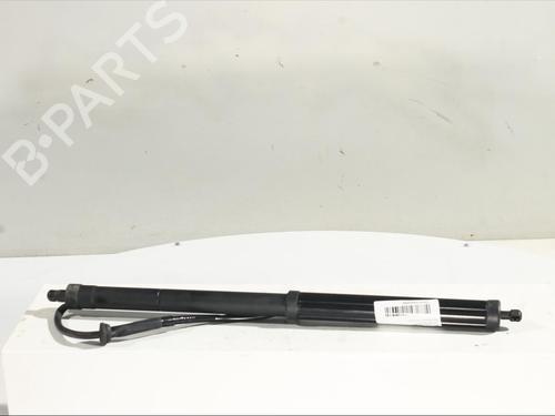 Used Tailgate lift support TOYOTA RAV 4 V (_A5_, _H5_) 2.5 Hybrid AWD (AXAH54, AXAL54) (222 hp) 26194300