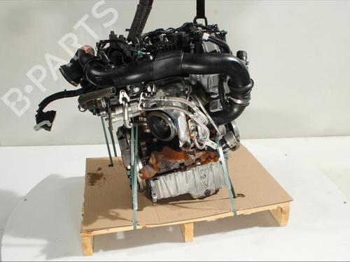 Engine FORD PUMA (J2K, CF7) 1.0 EcoBoost mHEV | BP25908859M1 