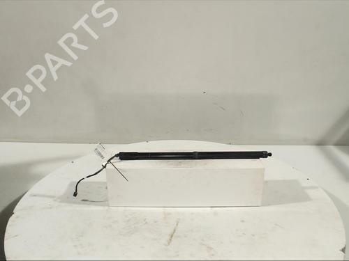Used Other FORD GRAND C-MAX (DXA/CB7, DXA/CEU) [2010-2019]  14525857