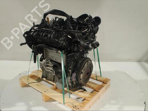 Moteur VW GOLF ALLTRACK VII Variant (BA5, BV5)  | BP13702406M1 
