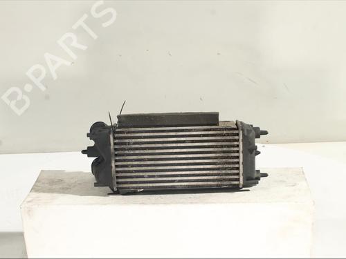 Used Intercooler FORD ECOSPORT 1.5 EcoBlue TDCi (95 hp) 24519934