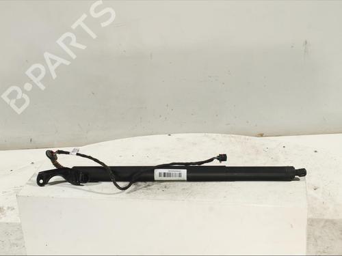 Used Tailgate lift support AUDI Q3 (8UB, 8UG) [2011-2020]  14525282