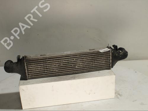 Intercooler MERCEDES-BENZ E-CLASS (W212) E 220 CDI / BlueTEC (212.001, 212.002) | BP29420208M30 