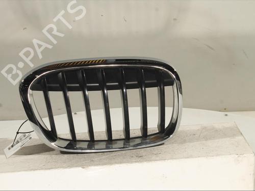 Used Grille Grille 23984554 23984554