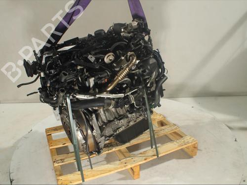Engine FORD ECOSPORT  | BP20503483M1 