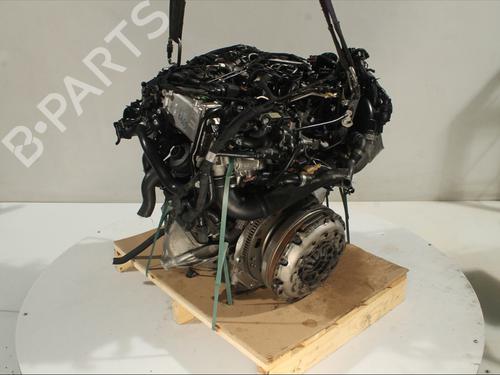 Engine AUDI A4 B9 (8W2, 8WC) 2.0 TDI | BP32253969M1