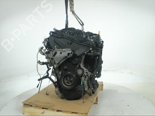 Engine VW TIGUAN (5N_) 2.0 TDI | BP33860891M1  - Image 5