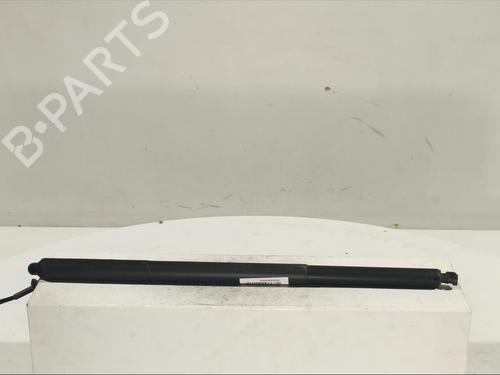 Used Tailgate lift support Tailgate lift support FORD PUMA (J2K, CF7) 1.0 EcoBoost mHEV (155 hp) 14525864 14525864