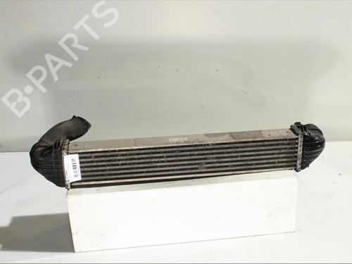 Intercooler MERCEDES-BENZ B-CLASS Sports Tourer (W245) B 200 CDI (245.208) | BP25733275M30 