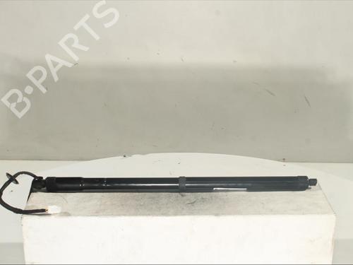 Used Tailgate lift support Tailgate lift support NISSAN X-TRAIL III (T32_, T32R, T32RR) 1.6 dCi (T32) (130 hp) 16255470 16255470