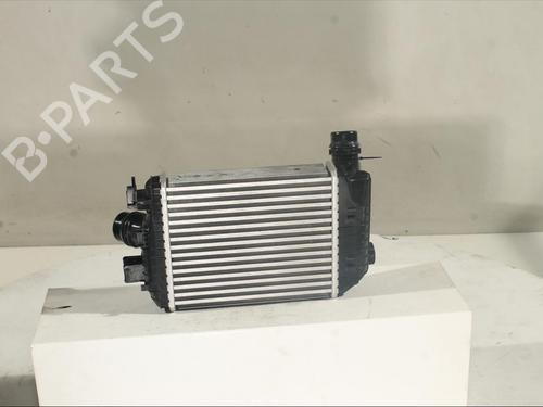 Ladeluftkühler RENAULT ARKANA I (LCM_, LDN_) 1.3 TCe 140 (LDN0) | BP19518436M30