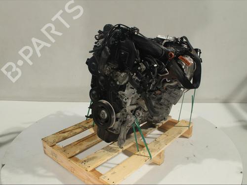 Engine CITROËN C3 II (SC_) 1.6 HDi | BP13629424M1 