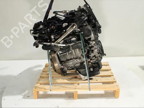 Used Engine Engine FORD TOURNEO CONNECT / GRAND TOURNEO CONNECT V408 MPV 1.5 TDCi (120 hp) 33999109 33999109