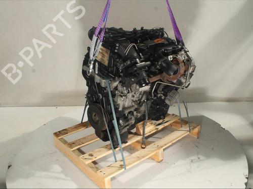 Engine FORD FOCUS II (DA_, HCP, DP)  | BP19124795M1 