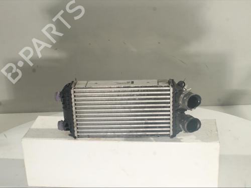 Used Intercooler Intercooler PEUGEOT 2008 II (UD_, US_, UY_, UJ_, UR_, UC_) 1.5 BlueHDI 110 (UDYHSK) (110 hp) 21800446 21800446