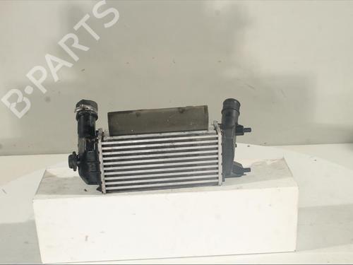 Used Intercooler Intercooler FORD FIESTA VII (HJ, HF) 1.0 EcoBoost Active (101 hp) 20932088 20932088