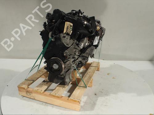 Engine FORD FIESTA VI (CB1, CCN)  | BP11912969M1 