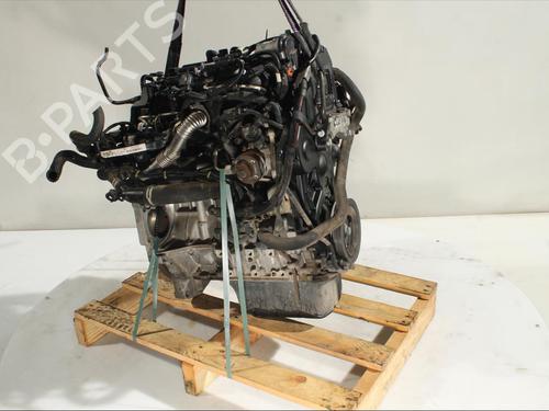 Engine CITROËN C3 II (SC_) 1.4 HDi 70 (SC8HZC, SC8HR0, SC8HP4) | BP24399766M1 