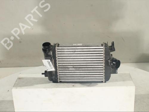 Used Intercooler NISSAN JUKE (F16_) DIG-T 117 (117 hp) 20642496