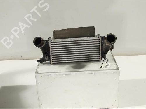 Used Intercooler Intercooler FORD FIESTA VII (HJ, HF) 1.0 EcoBoost (101 hp) 11981480 11981480