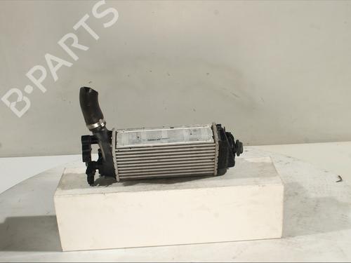 Intercooler FORD PUMA (J2K, CF7) 1.0 EcoBoost mHEV | BP29349655M30 