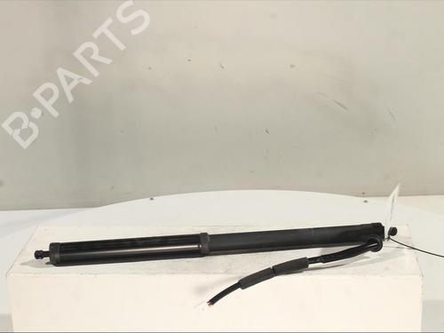 Used Tailgate lift support LEXUS NX (_Z1_) 300h (AYZ10_, AYZ10R) (197 hp) 27219780