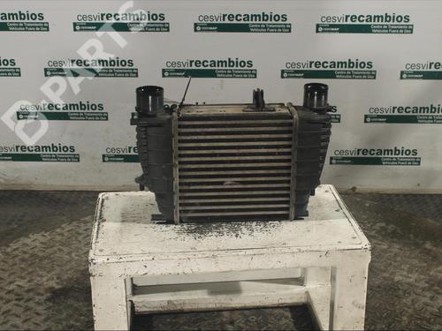 Intercooler RENAULT CLIO III (BR0/1, CR0/1)  | BP11893886M30 