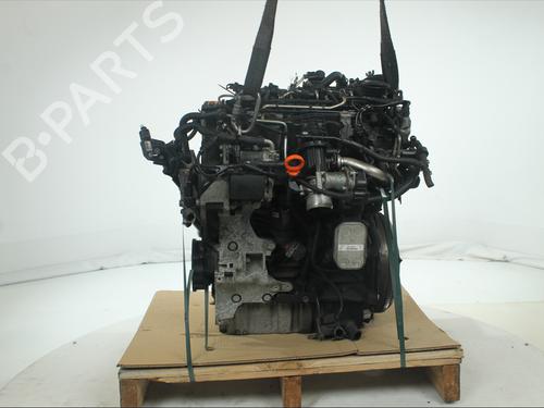 Used Engine Engine VW GOLF VI (5K1) 1.6 TDI (105 hp) 35971078 35971078