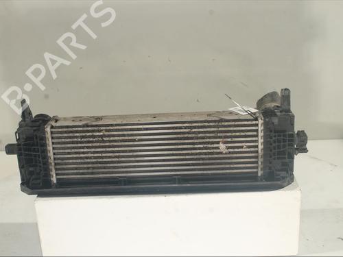 Intercooler BMW X4 (G02, F98) xDrive 20 d | BP22226281M30 