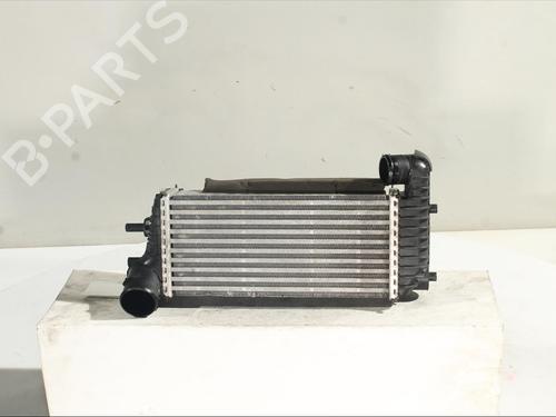 Intercooler FORD KUGA II (DM2) 1.5 TDCi (120 hp) 24578601