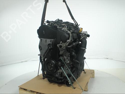 Engine SEAT IBIZA IV (6J5, 6P1) 1.6 TDI | BP34106552M1 - Image 5