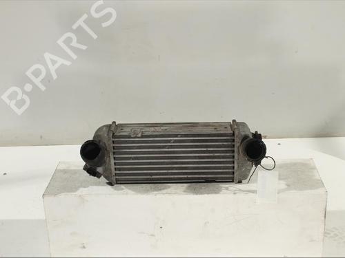 Used Intercooler Intercooler HYUNDAI ix20 (JC) 1.4 (90 hp) 11905749 11905749