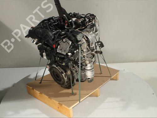 Engine HYUNDAI i30 (PDE, PD, PDEN) 1.0 T-GDI hybrid 48V | BP28419252M1 