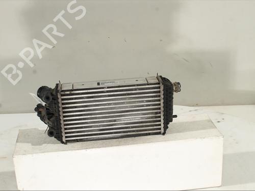 Intercooler PEUGEOT 208 II (UB_, UP_, UW_, UJ_) 1.2 PureTech 100 | BP23882538M30 
