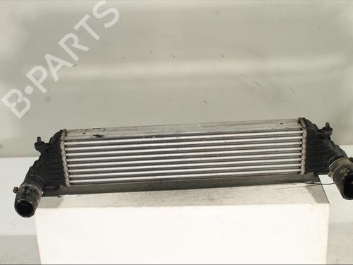 Used Intercooler Intercooler FIAT TIPO Saloon (356_, 357_) 1.3 D (356SXB1A, 356SXH1A, 356SXD1A) (95 hp) 24102663 24102663