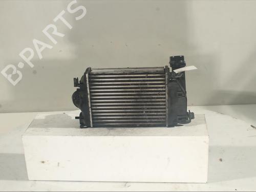 Intercooler RENAULT MEGANE IV Hatchback (B9A/M/N_) 1.5 dCi 90 (B9A1) | BP21378880M30
