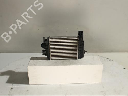 Intercooler NISSAN JUKE (F16_) 1.0 | BP32874068M30 - Image 2