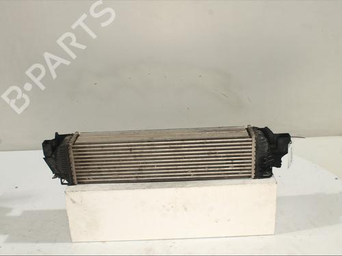 Intercooler BMW X1 (F48) sDrive 18 d (150 hp) 30092625