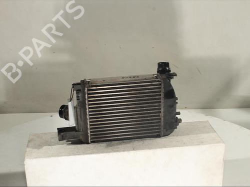 Intercooler DACIA DOKKER MPV (KE_) 1.5 dCi (KEAJ, KEAH) | BP17645792M30 