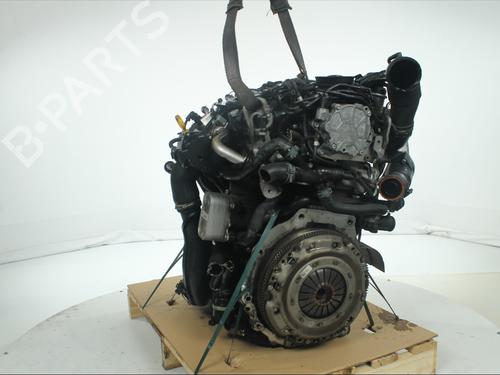 Engine SEAT IBIZA IV (6J5, 6P1) 1.6 TDI | BP34106552M1 - Image 2