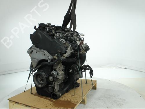 Engine VW GOLF VI (5K1) 2.0 TDI | BP39699047M1 - Image 5