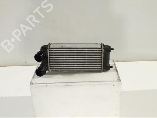 Used Intercooler Intercooler PEUGEOT 3008 I MPV (0U_) 1.6 BlueHDi 120 (120 hp) 11902558 11902558