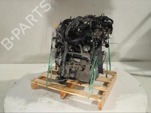 Engine TOYOTA YARIS (_P13_)  | BP17554563M1 
