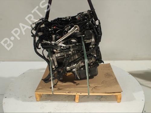 Used Engine FORD FOCUS III 1.5 TDCi (120 hp) 32277709