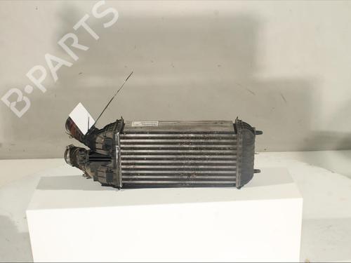 Intercooler PEUGEOT 208 I (CA_, CC_) 1.6 HDi / BlueHDi 75 | BP19040734M30 