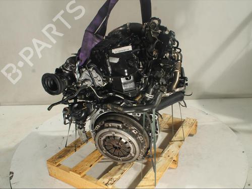 Engine FORD ECOSPORT  | BP20503483M1 