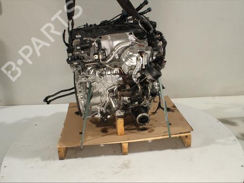 Used Engine BMW X4 (G02, F98) xDrive 20 d Mild-Hybrid (190 hp) 29021322